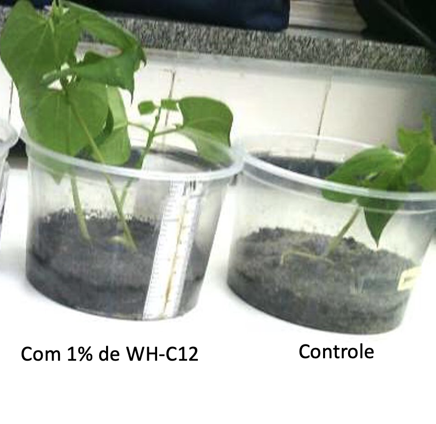 Screenshot 2023-10-03 at 20.42.17.png